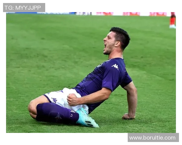 佛罗伦萨与萨索洛比赛数据深度分析及战术解读